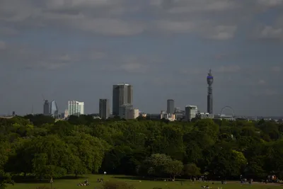 DSC_5953 (Large).JPG